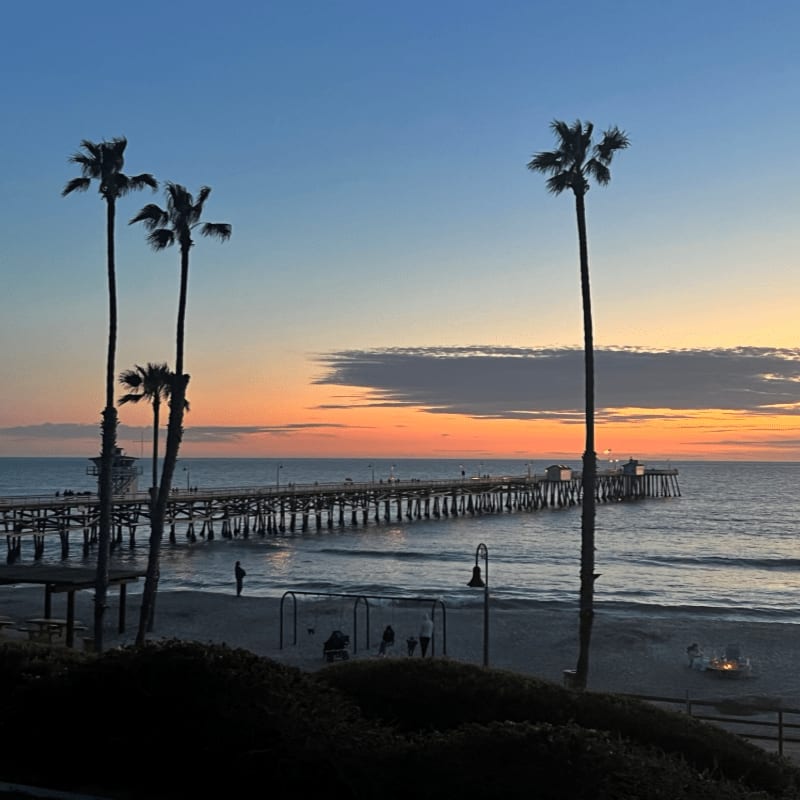 Tall palm trees and dark shrubbery frame a view of a long wooden pier extending into the ocean under a vibrant sunset sky.