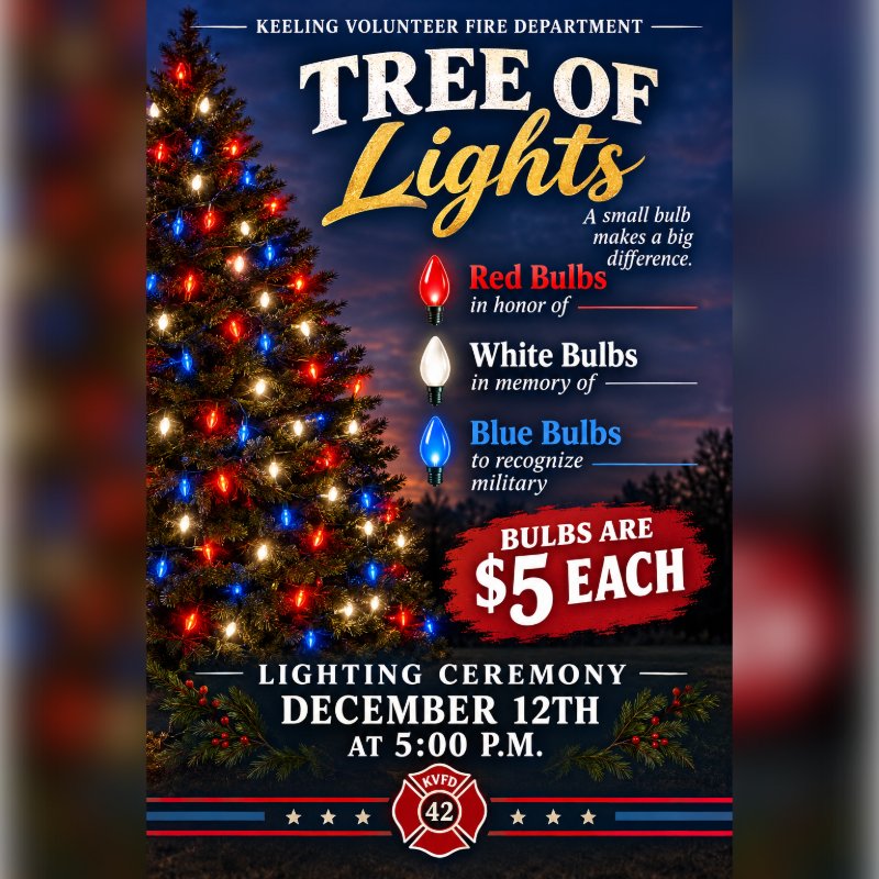 A brightly lit Christmas tree stands in the foreground of a promotional flyer set against a dark, twilight sky.