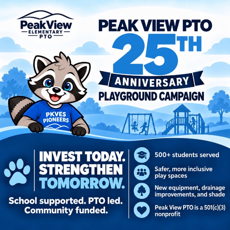 A cute cartoon raccoon wearing a blue shirt stands in the foreground of a bright blue and white promotional flyer for a playground campaign, set against a background of a sunny day with a playground and trees.