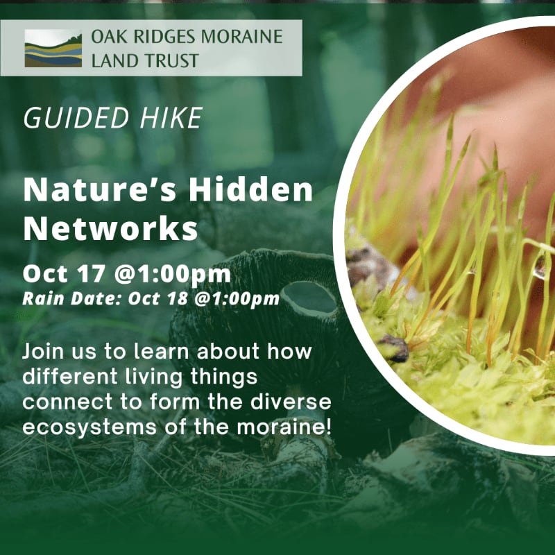 A promotional flyer for a guided hike features a close-up of moss in a circular frame in the foreground and a blurred forest scene with event text in the background.