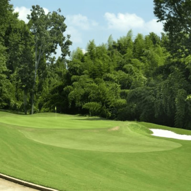 A lush green golf course with a sand trap in the foreground is bordered by a dense forest of trees under a blue sky.
