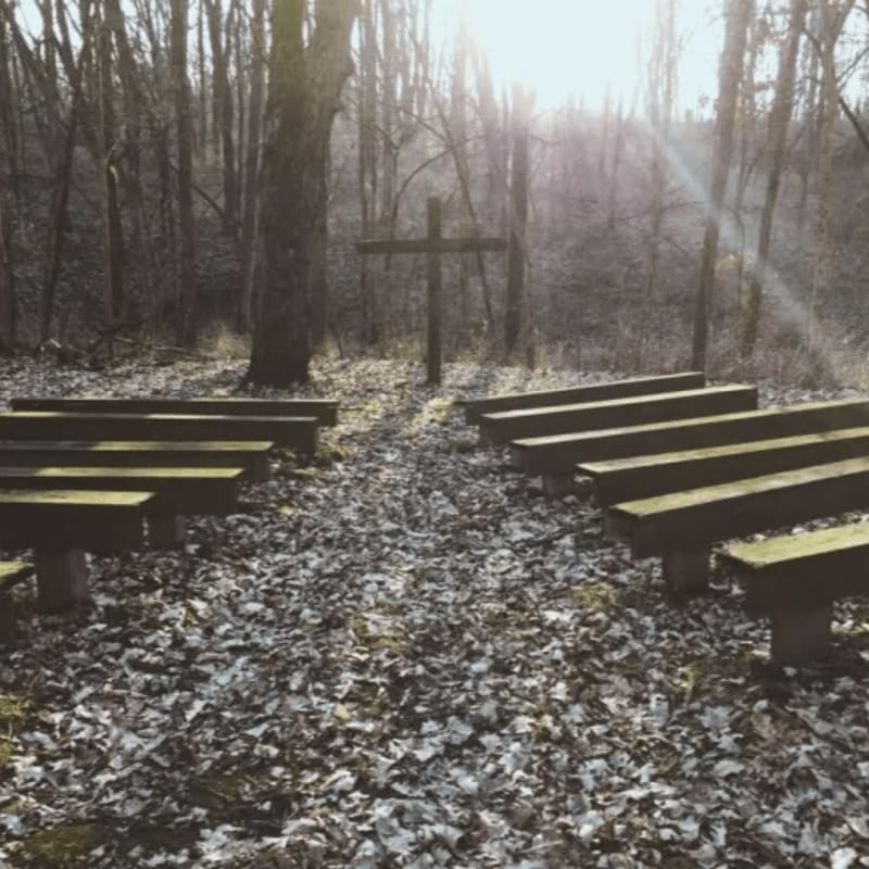 Wooden benches line a leaf-covered path leading toward a large cross in a sunlit, wooded forest.