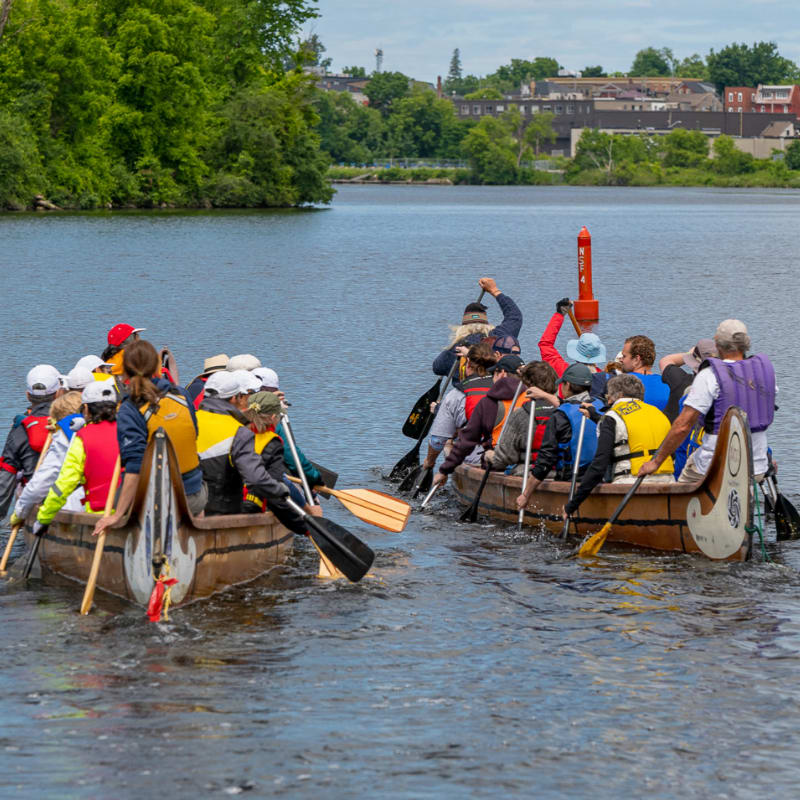 Two groups of people in canoes race across a river with a lush green shoreline and distant buildings in the background.