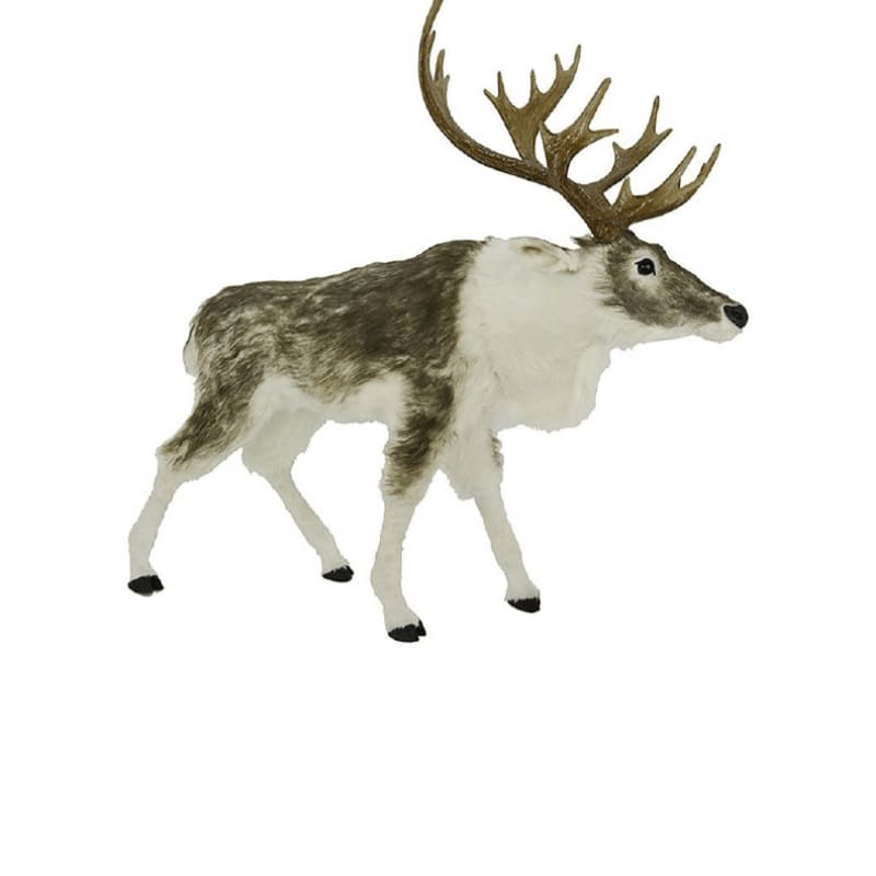 A reindeer with large antlers stands against a plain white background.