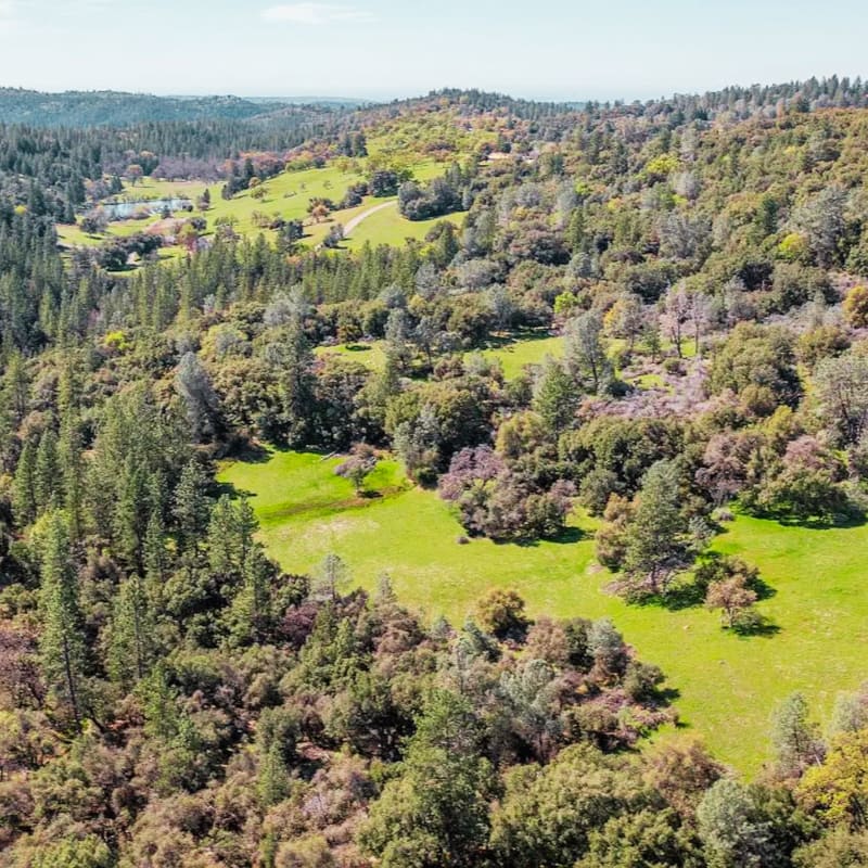 Lush green meadows and dense forests fill the foreground, leading toward rolling hills and a distant horizon in the background.