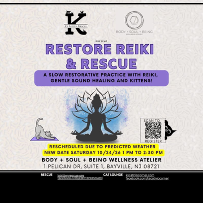A purple and white promotional flyer for a "Restore Reiki & Rescue" event features a meditating silhouette and a kitten in the foreground against a light-textured background.
