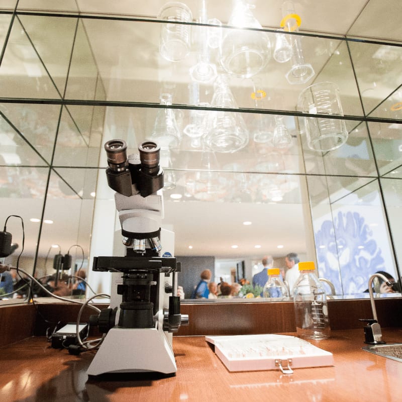 A white microscope and a slide box sit on a wooden counter in the foreground, with a mirrored wall reflecting glassware and people in the background.