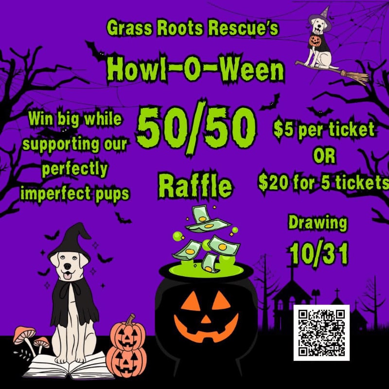 A Halloween-themed raffle flyer features yellow and green text and cartoon dogs in the foreground against a purple background with a spooky silhouette of a graveyard.