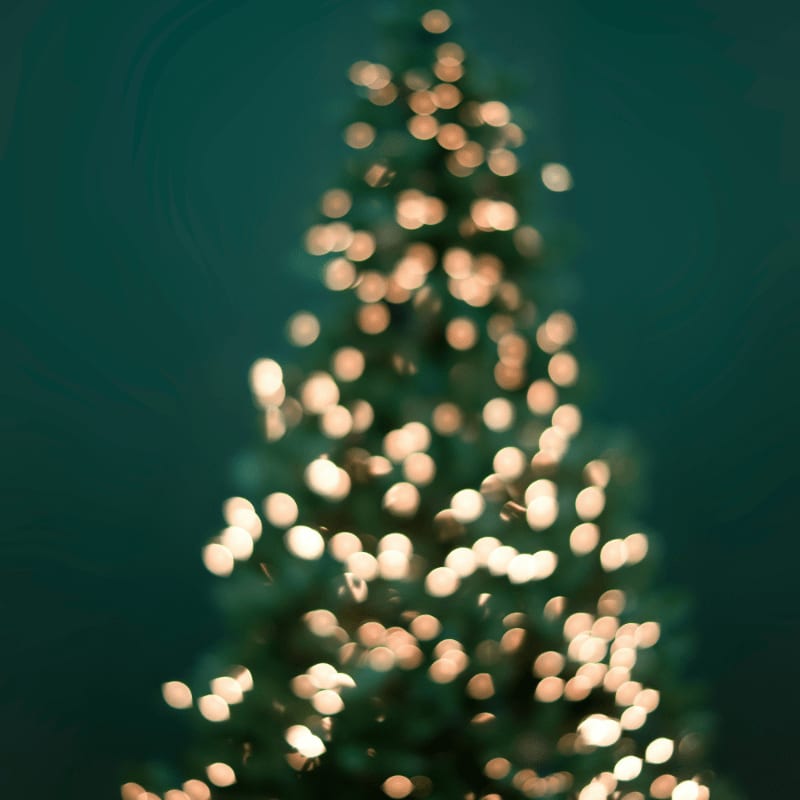 boke photography of christmas tree and string lights