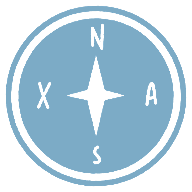 A white four-pointed star and the letters N, S, X, and A are centered within a light blue circular emblem against a plain white background.