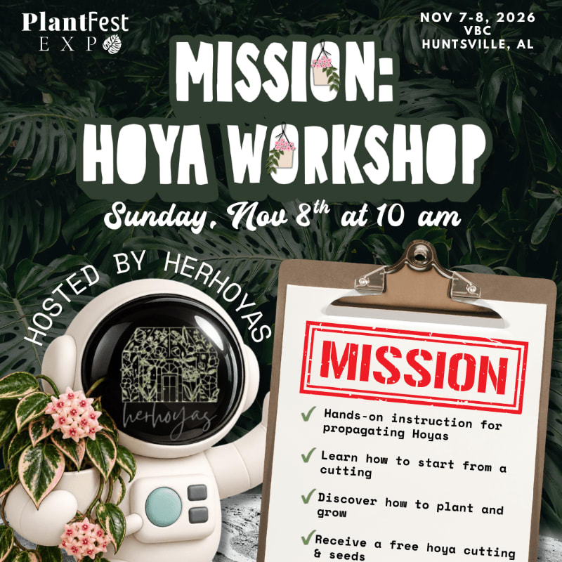 A small astronaut figure and a clipboard with workshop details sit in the foreground against a background of lush green tropical leaves.