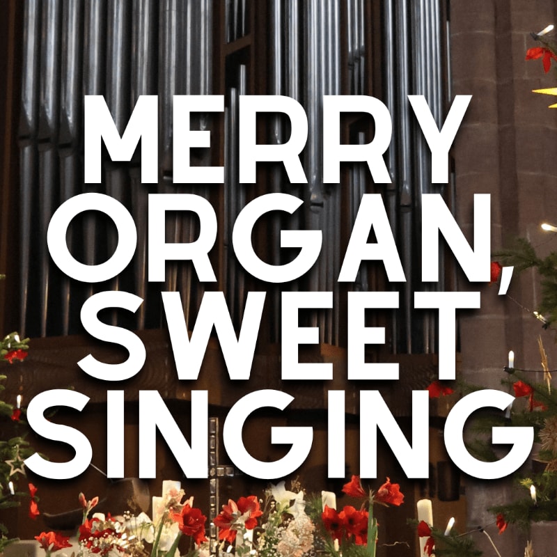 Bold white text reading "MERRY ORGAN, SWEET SINGING" overlays a background of large organ pipes and festive red flowers.