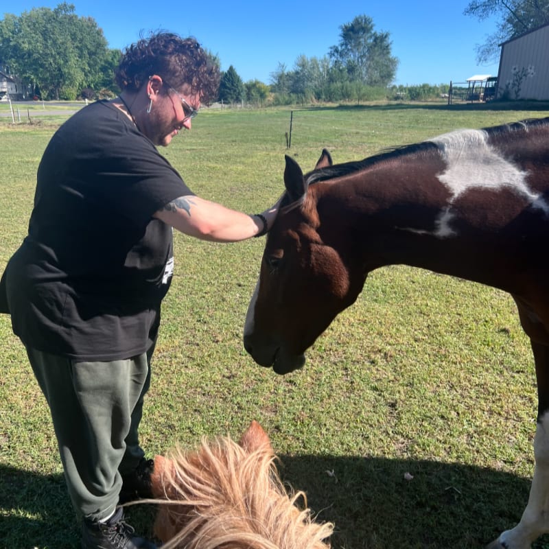 A person in a black shirt pets a brown and white horse in a grassy field with trees and a building in the background.