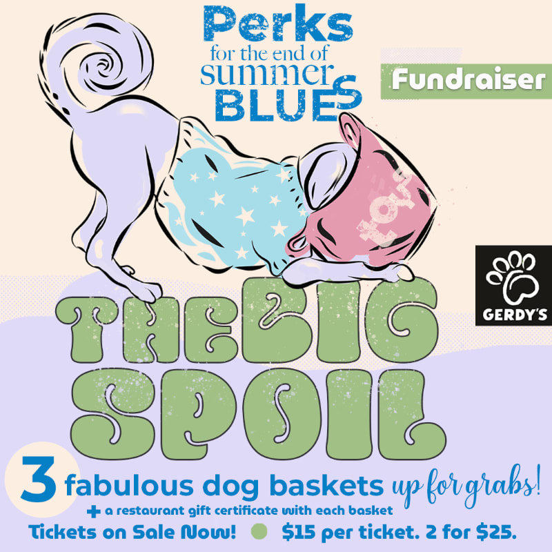 A cartoon dog wearing a blue star-patterned shirt and a pink toy rests above the text "THE BIG SPOIL" against a light-colored background with fundraiser details.