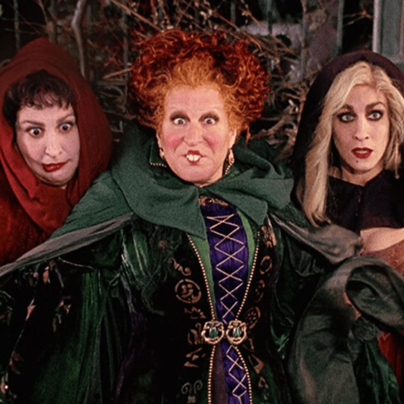 Three witches in colorful costumes stand in the foreground against a dark, tangled background of branches.