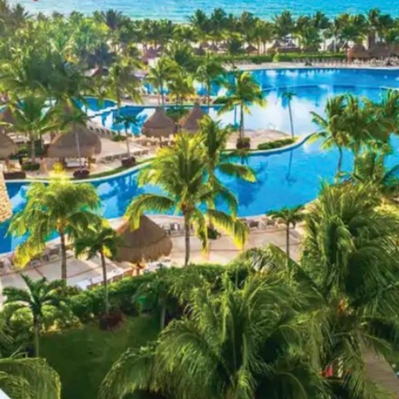 Lush green palm trees and thatched umbrellas frame a sprawling blue resort pool with the ocean and a tropical coastline in the distance.