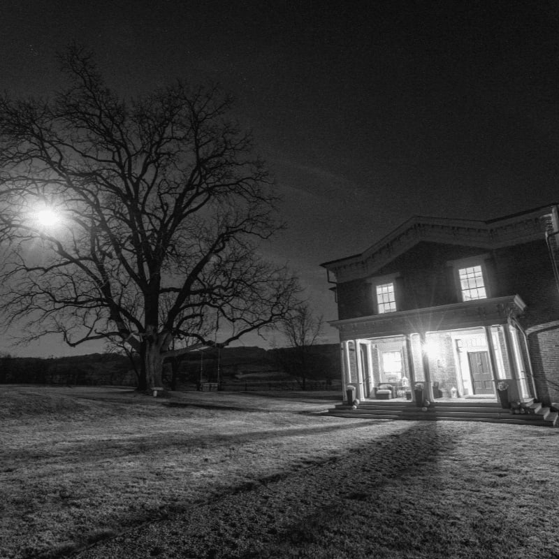 A lit house stands beside a large, leafless tree under a dark night sky in this black and white scene.