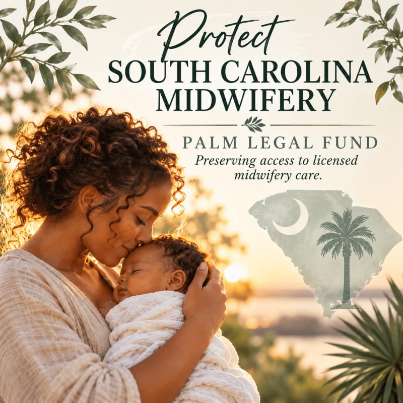 A woman tenderly kisses a swaddled baby in the foreground, set against a soft, sunlit outdoor background with text and a map of South Carolina.