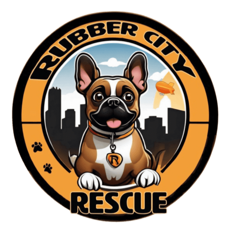 A cartoon French bulldog with a collar sits in the foreground of a circular logo featuring a city skyline and a blimp in the background.
