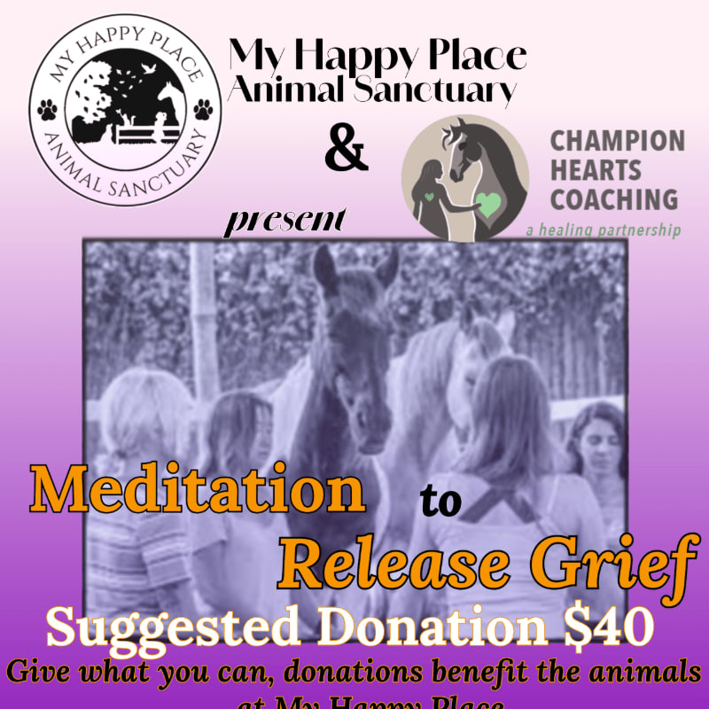 Orange and yellow text promoting a grief release meditation is overlaid on a photo of people with horses, set against a purple gradient background with sanctuary logos.