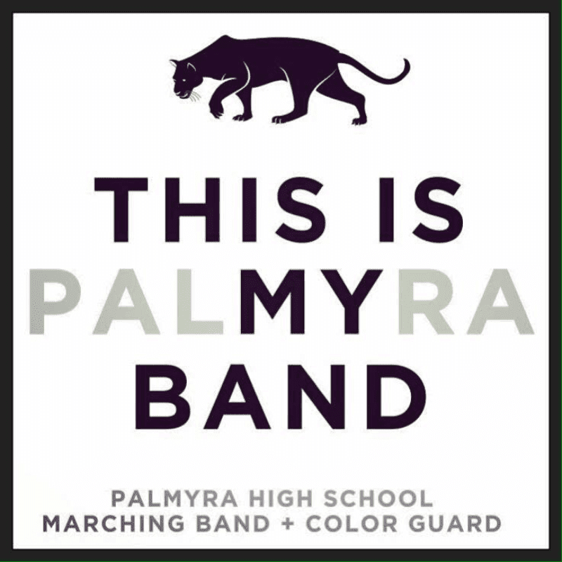 A black panther silhouette and the text "THIS IS PALMYRA BAND" appear in the foreground against a plain white background.