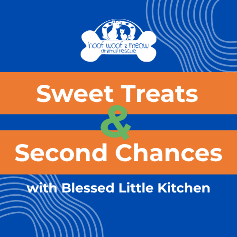 White and green text reading "Sweet Treats & Second Chances with Blessed Little Kitchen" is layered over orange and blue horizontal bands with a rescue logo at the top.