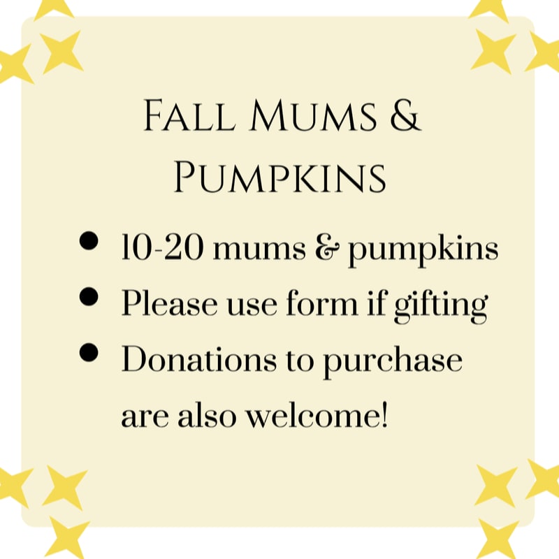 Black text detailing a request for fall mums and pumpkins sits on a pale yellow square background accented by yellow stars in the corners.