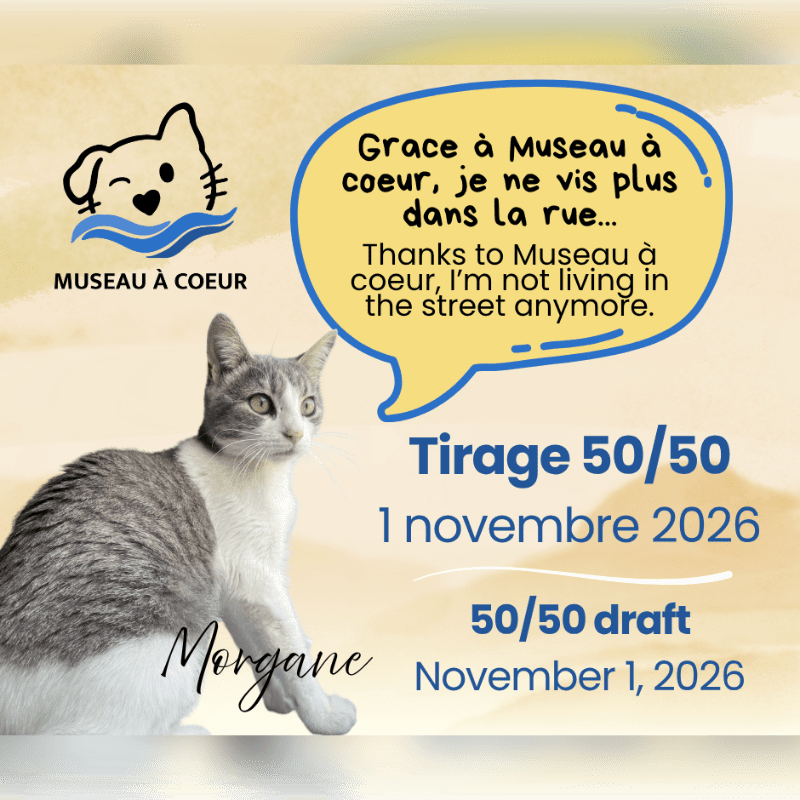 A grey and white cat named Morgane sits in the foreground against a light yellow background featuring a logo, a speech bubble with text, and a 50/50 draw announcement.