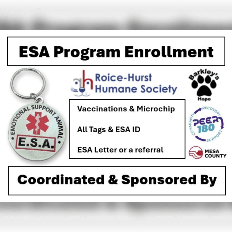 A keychain with "E.S.A." on it is in the foreground, while the background displays information about an ESA program enrollment, including sponsoring organizations.