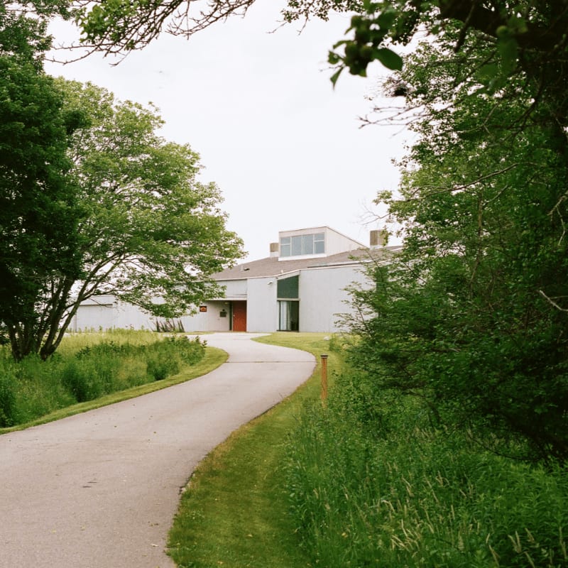 A paved path winds through green grass in the foreground toward a modern grey building framed by lush trees in the background.