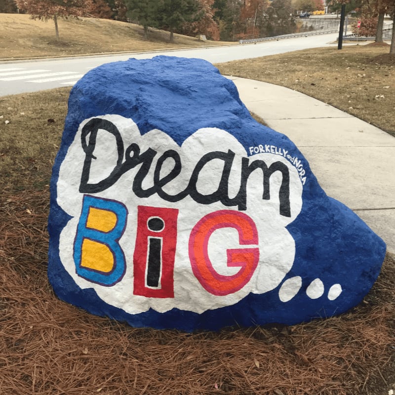 A large blue rock painted with "Dream BIG..." sits on pine needles in the foreground, with a paved walkway and trees in the background.