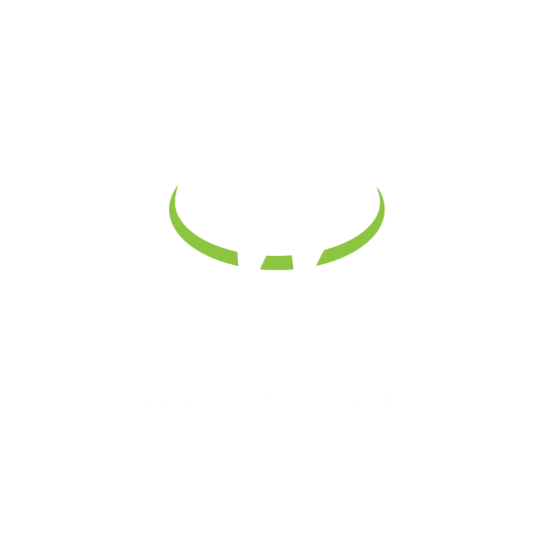 A lime green curved graphic sits centered against a plain white background.