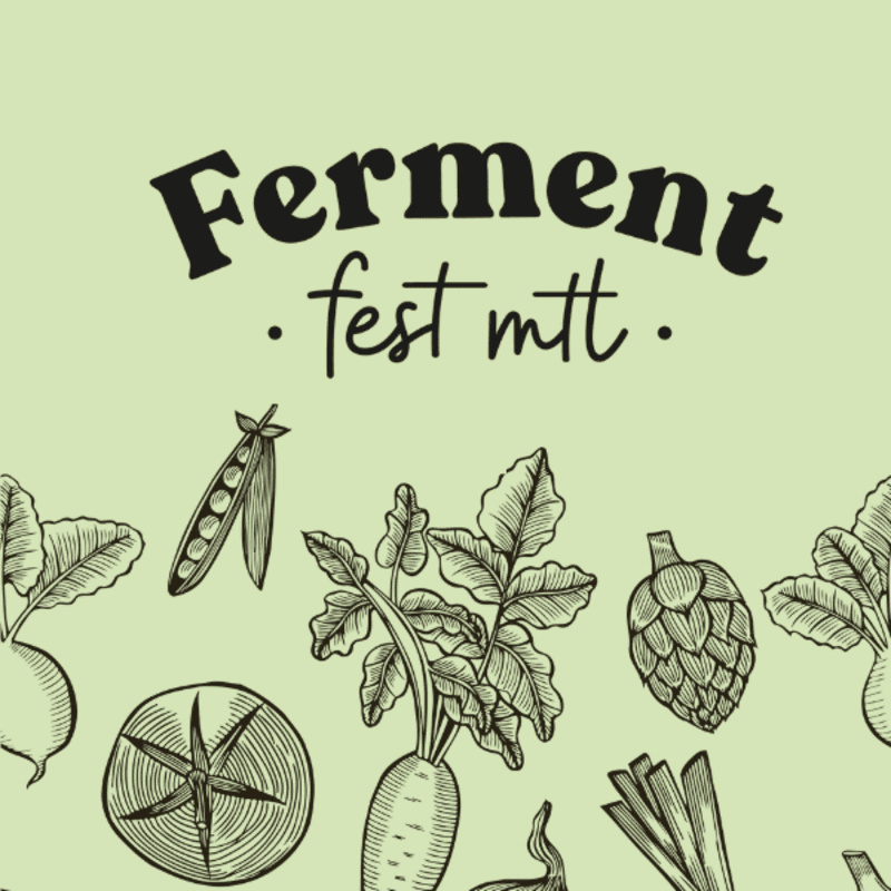 A light green background frames a black, stylized "Ferment fest mtt" title above a row of hand-drawn vegetables including radishes, peas, a tomato, carrots, and leeks.