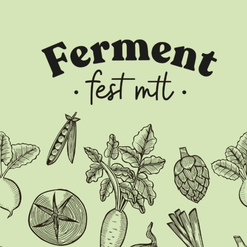 A light green background frames a black, stylized "Ferment fest mtt" title above a row of hand-drawn vegetables including radishes, peas, a tomato, carrots, and leeks.