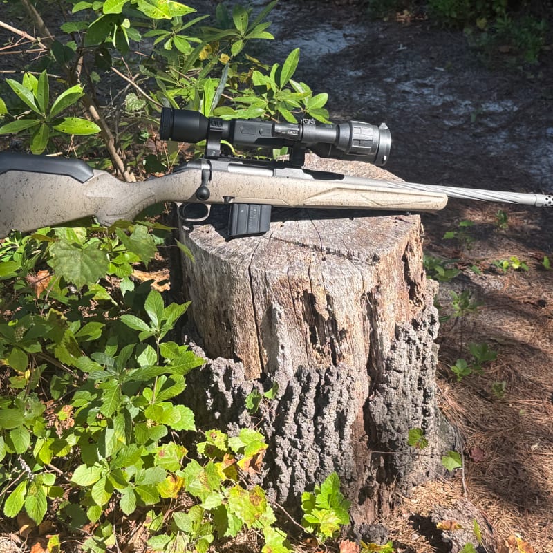 A scoped rifle rests on a weathered tree stump, surrounded by green foliage and a shaded forest floor.