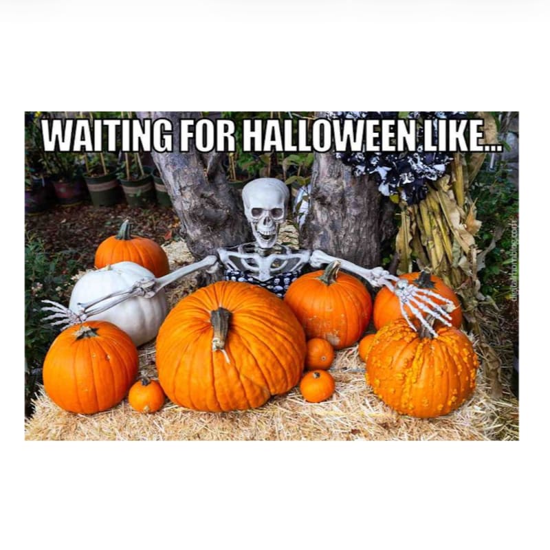 A skeleton sits surrounded by orange and white pumpkins on a bed of straw, with a rustic outdoor garden background.