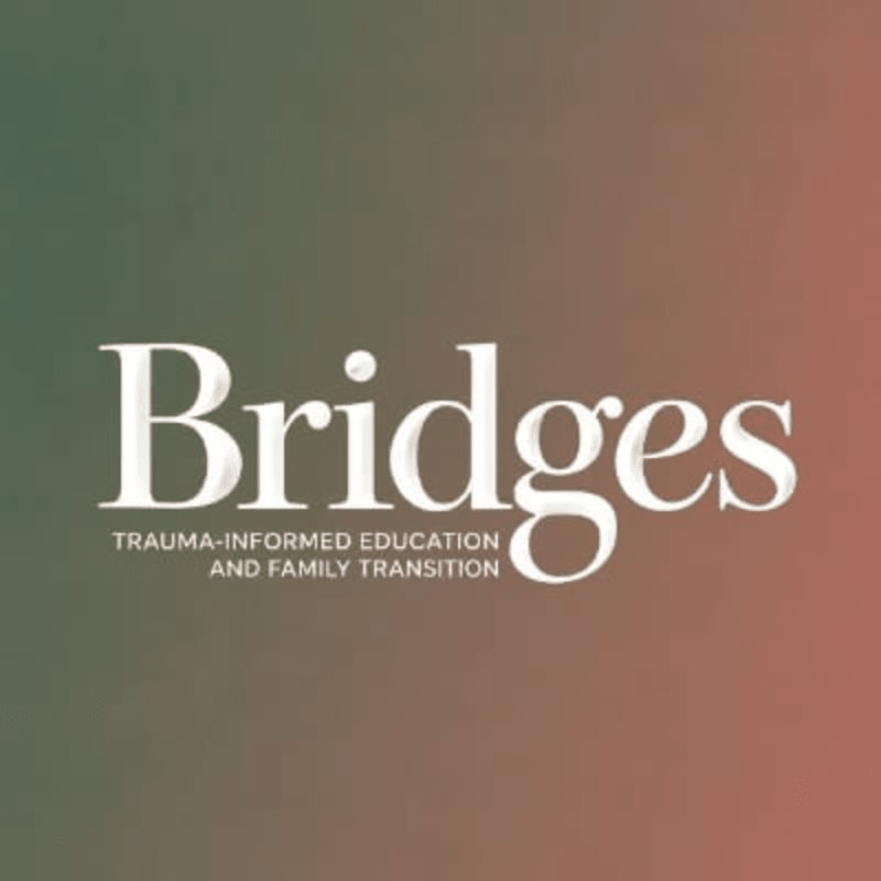 White text reading "Bridges TRAUMA-INFORMED EDUCATION AND FAMILY TRANSITION" is centered against a blurred, gradient background of green and reddish-brown.