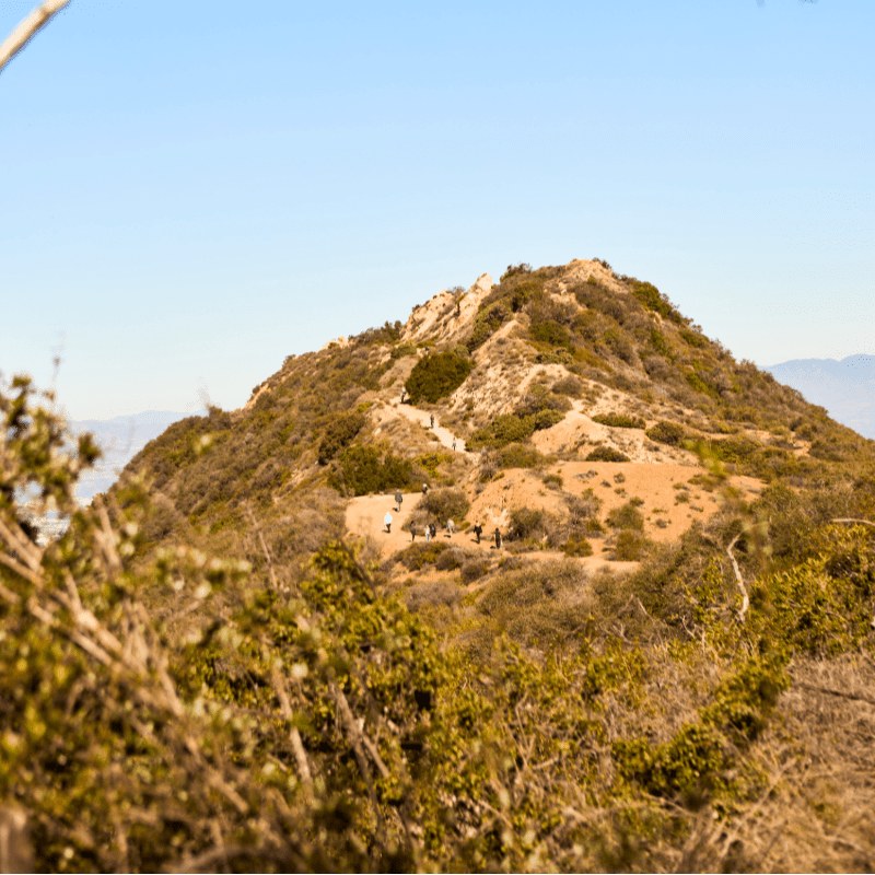 Green shrubs fill the foreground, leading to a rugged, sandy hill with hiking trails under a clear blue sky.