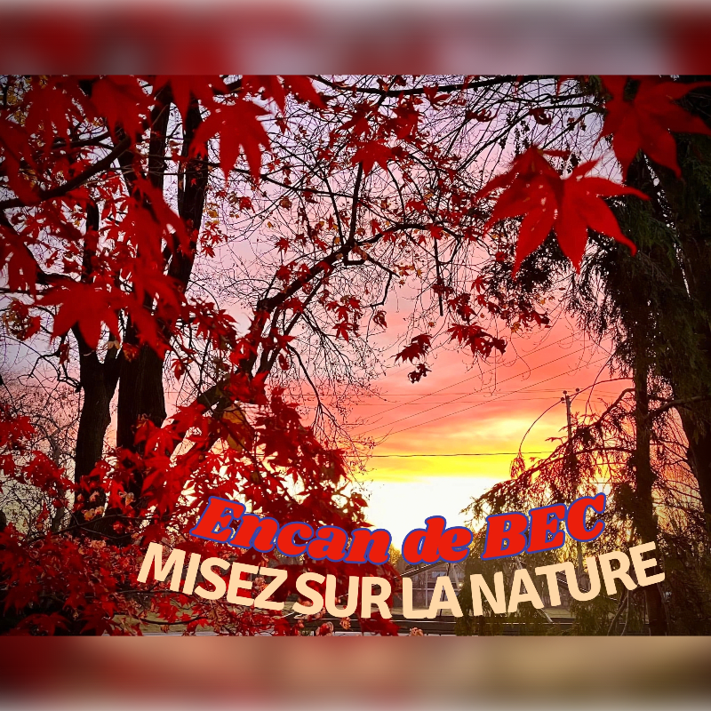 Bright red maple leaves frame a vibrant orange and yellow sunset sky in the background, with text overlaying the bottom center.