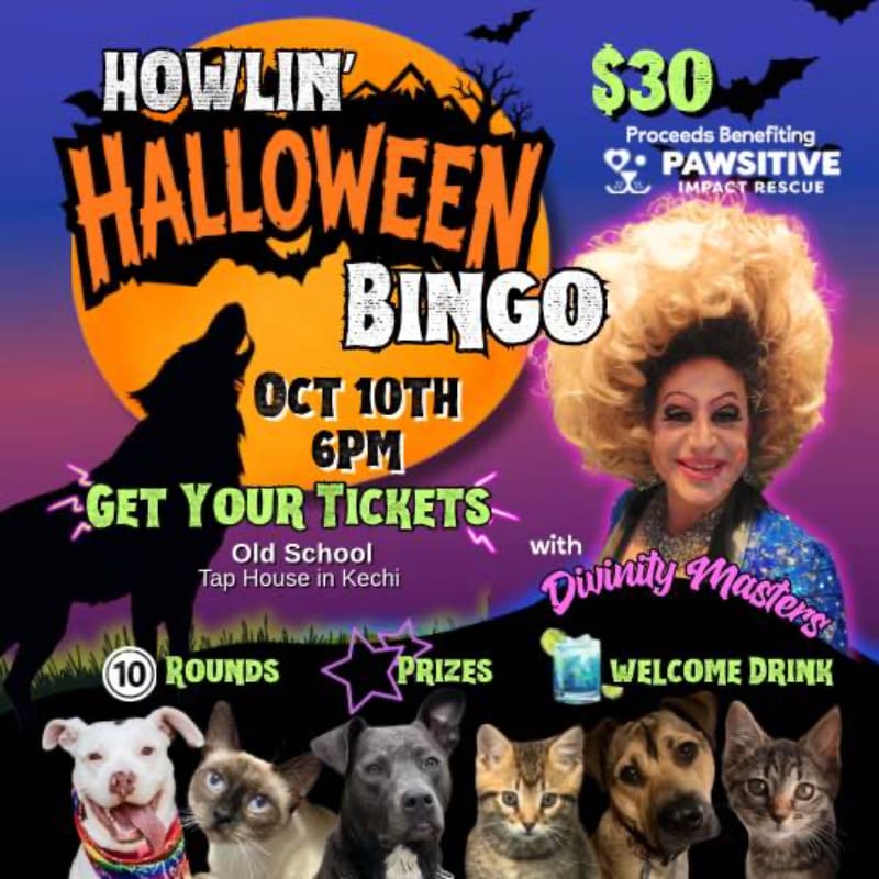 A colorful Halloween Bingo event flyer features a drag performer and a row of pets in the foreground against a background of a large orange moon, a howling wolf silhouette, and event details.