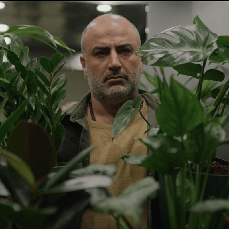 A bald man with a beard wearing a yellow shirt and grey jacket stands between lush green plants in an indoor setting.