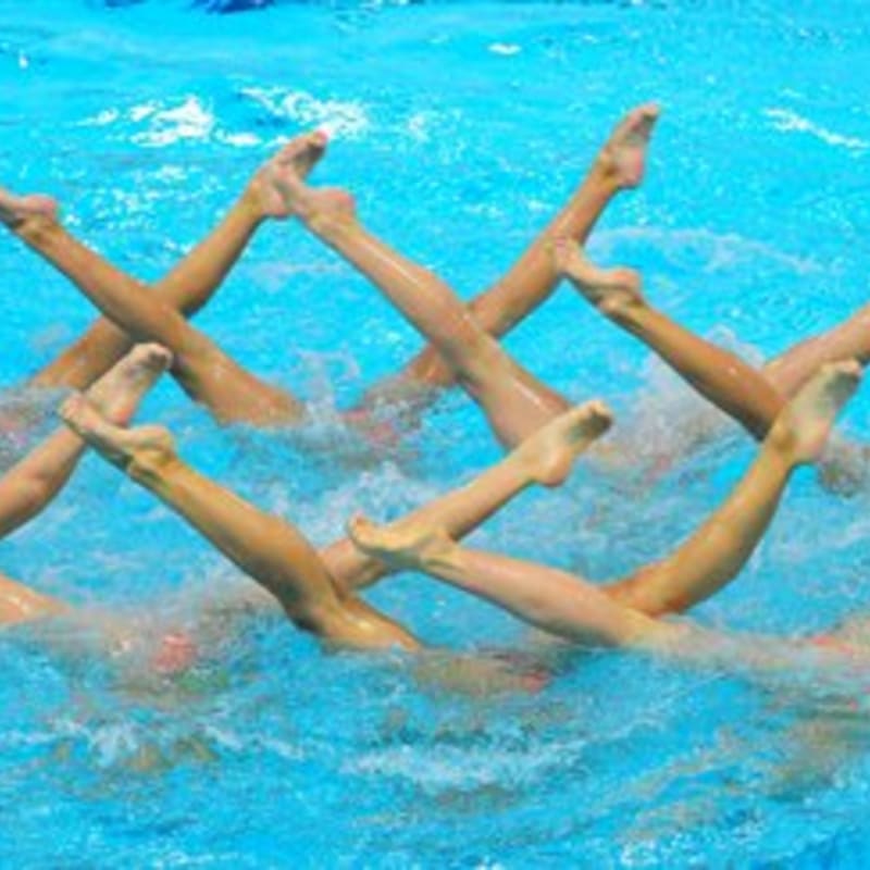 Multiple legs extend upward from the splashing water in the foreground against a bright blue pool background.
