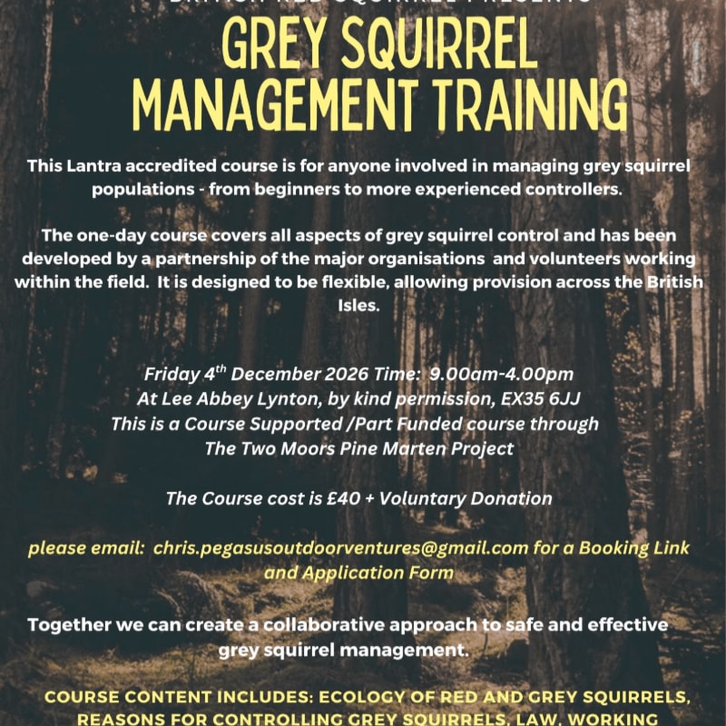 Yellow and white text advertising grey squirrel management training is overlaid on a blurred background of a dark, wooded forest.