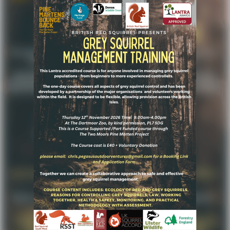 A promotional flyer for Grey Squirrel Management Training features bold yellow and white text in the foreground against a blurred background of a forest.