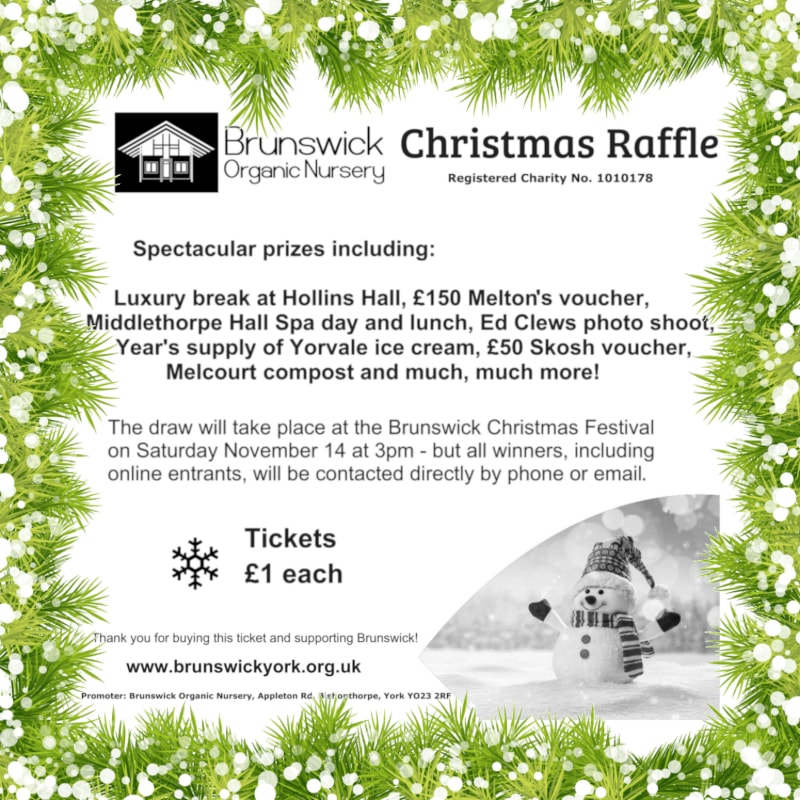 A Christmas raffle flyer for Brunswick Organic Nursery features event details and prizes in the center, framed by a border of green pine branches and white berries with a small snowman in the bottom right.