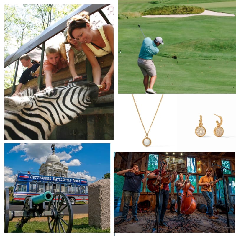 A collage featuring people feeding a zebra, a man golfing, gold jewelry, a tour bus at Gettysburg, and a bluegrass band performing.
