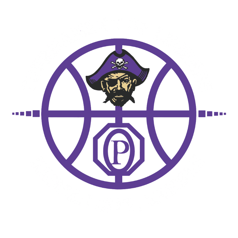A purple circular logo featuring a pirate's head and a stylized letter "P" is centered against a plain white background.