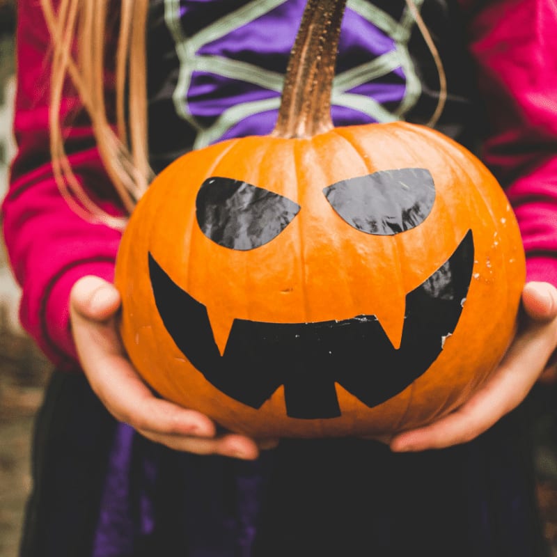 selective focus photography of person holding pumpkin