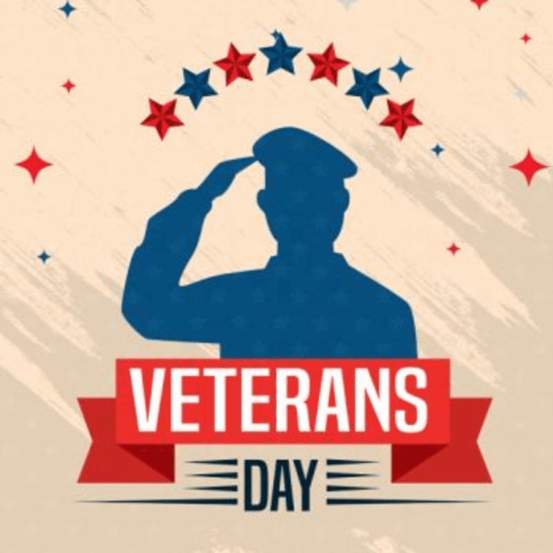 A blue silhouette of a saluting soldier stands above a red "VETERANS DAY" banner against a beige background adorned with red and blue stars.