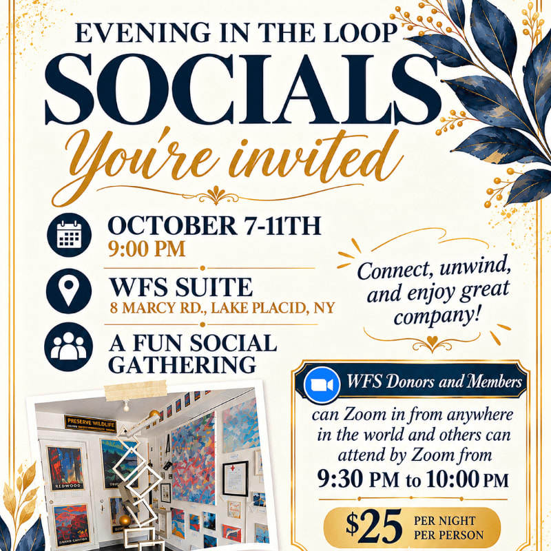 An event invitation for "Evening in the Loop Socials" features blue and gold floral accents in the background and a photo of an art studio in the foreground.